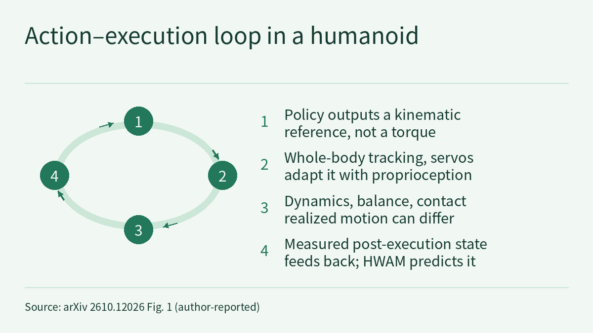 Cycle diagram with four steps joined by arrows into a closed loop: the high-level policy outputs a reference action, a kinematic reference rather than a torque; whole-body tracking control and joint servos adapt it using proprioceptive feedback; dynamics, balance and contact mean the realized motion can differ from the reference; the measured post-execution proprioceptive state is fed back to the high-level policy, and HWAM predicts that state together with the action.