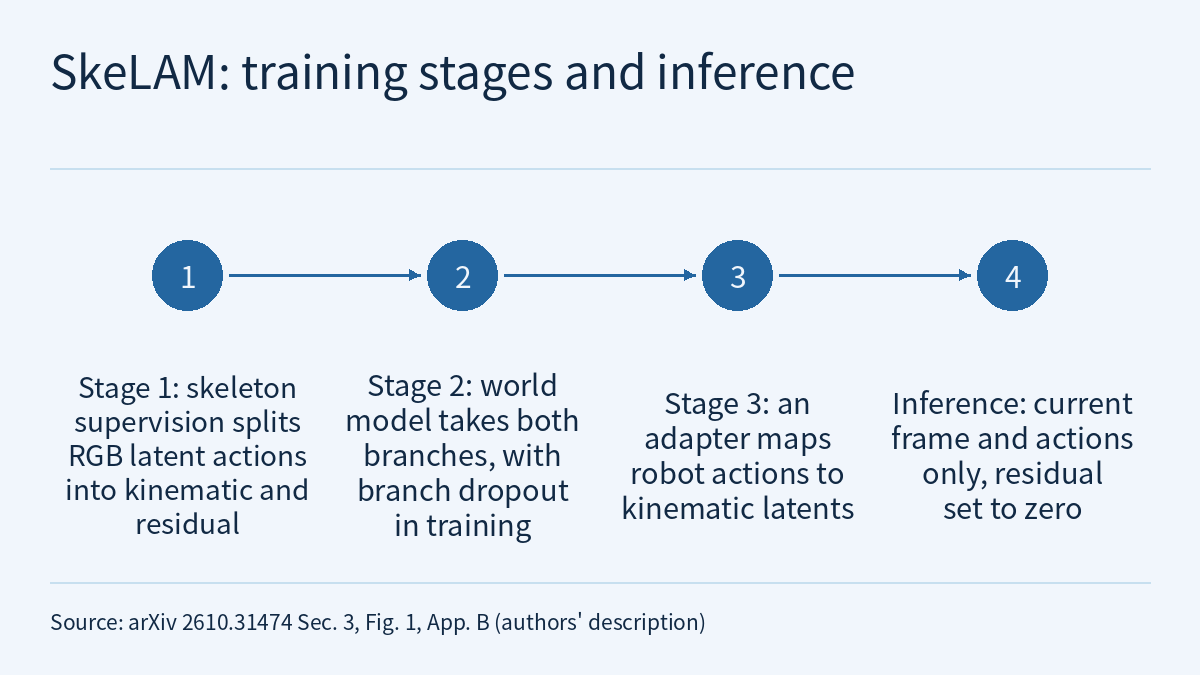 Timeline diagram: four solid circles numbered 1 to 4 in a row from left to right, joined in turn by rightward arrows, each with a short text below it; the numbers show order only. The texts read, in order: Stage 1, skeleton supervision splits RGB latent actions into kinematic and residual; Stage 2, the world model takes both branches, with branch dropout in training; Stage 3, an adapter maps robot actions to kinematic latents; Inference, current frame and actions only, residual set to zero.